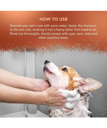 Buy WAHL Copper Tones Pet Shampoo - International Shipping Available | Premium Pet Care - Buy Online on GoSupps.com