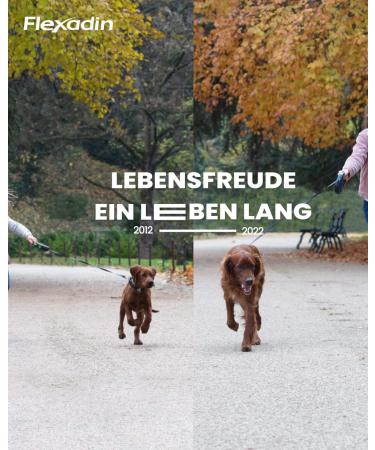 Flexadin Young Dog Mini | For healthy joints in young dogs up to 10 kg | With glucosamine chondroitin omega-3 and devil's claw 60 joint treats - Buy Online on GoSupps.com