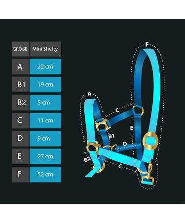 Adjustable Dark Blue Halter for Warmbloods Thoroughbreds & Cold Bloods - Safe Tear-Resistant Stable & Pasture Use | 2 Compartment Chin & Neck Straps - Buy Online on GoSupps.com