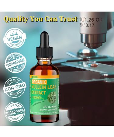 Organic Mullein Drops for Lung Cleanse Powerful 1700mg Mullein Leaf Extract for Immune & Respiratory Support Natural Mullein Supplement Tincture Drops Non-GMO & Vegan 2 Fl Oz 2 Fl Oz (Pack of 1) - Buy Online on GoSupps.com