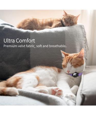 Soft Purple Airtag Cat Neck Band with GPS Holder & Bell - Adjustable 9-13 inch for Kittens & Young Cats - Buy Online on GoSupps.com