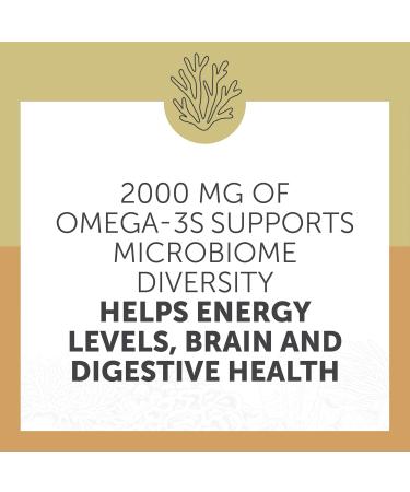 Enzymedica Aqua Biome Maximum Strength Omega 3 Fish Oil, 60 Softgels 60 Count (Pack of 1) - Buy Online on GoSupps.com