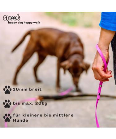 5m Magenta Towline Dog Leash for Small Dogs | Water & Dirt Repellent Hand Loop Design - Buy Online on GoSupps.com