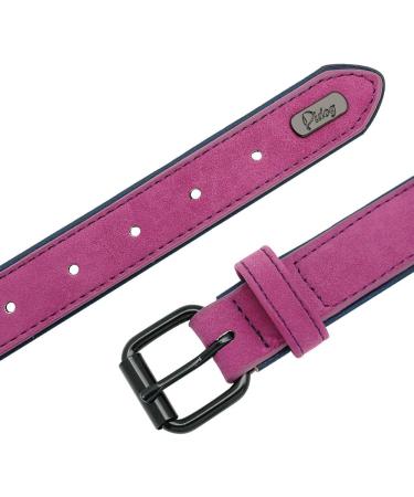 Didog Custom Leather Dog Collar with Engraved Name Tag - Soft Padded Purple for Small & Medium Dogs (XL 40-50 cm) - Buy Online on GoSupps.com