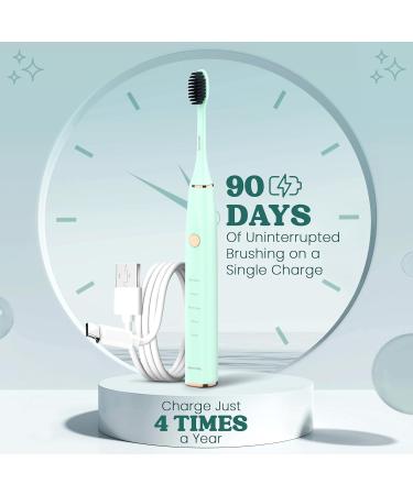 Sonic Electric Toothbrush - Portable with Timer 5 Modes & 3 Intensity Levels | Long-Lasting 90-Day Battery | Ideal for Adults - Cyan - Buy Online on GoSupps.com