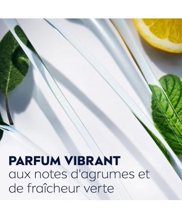 NIVEA MEN R veil Express Power Shower Gel (1 x 250 ml) Invigorating Cleansing Care Enriched with Citrus Infusion 3 in 1 S - Buy Online on GoSupps.com