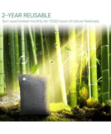 Ruuizksa Activated Carbon Odor Absorber - 4x200g Natural Bamboo Charcoal Odor Eliminator & Air Purifier - Buy Online on GoSupps.com