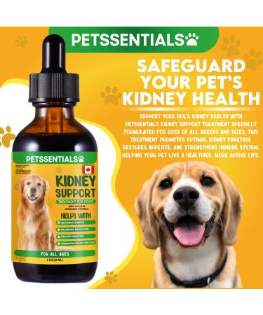 Kidney Support for Dogs 60ml | Premium Herbal Supplement to Enhance Kidney Function | Urinary Health & Bladder Support | Promotes Vitality Fluid Balance & Healthy Appetite | Natural Ingredients - Buy Online on GoSupps.com
