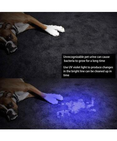 UV Resin Light Curing for Epoxy Fly Fishing Loca UV Glue 3D Printing Nail Polish UV Flashlight-Fast Curing (UV Resin Light) - Buy Online on GoSupps.com