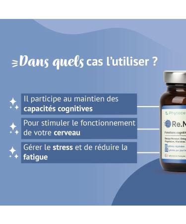 Phytocea - Bacopa Monnieri Ginkgo Biloba Organic Magnesium Vitamin B12 B9 B1| Anti-Stress and Focus Dietary Supplement | Memory and Concentration | 90 Vegan Capsules Made in France - Buy Online on GoSupps.com