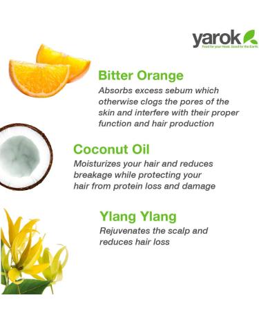 Yarok Feed Your Youth Organic Hair & Scalp Serum | Vegan Hair Growth & Repair | 100% Natural Gluten-Free Cruelty-Free - 1oz - Buy Online on GoSupps.com