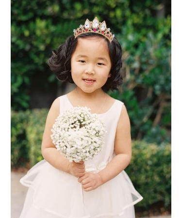 Vofler Rapunzel Princess Tiara for Girls | Elegant Gold Crystal Ruby Rhinestone Pearl Headband for Birthdays Weddings Pageants & Costumes - Buy Online on GoSupps.com