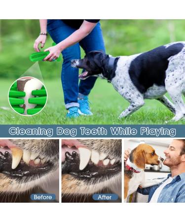 RUCACIO Dog Chew Toy - Durable Outdoor Interactive Toothbrush Toy for Medium Dogs | Dental Care & Teeth Cleaning | Puppy Birthday Gifts - A-Green - Buy Online on GoSupps.com