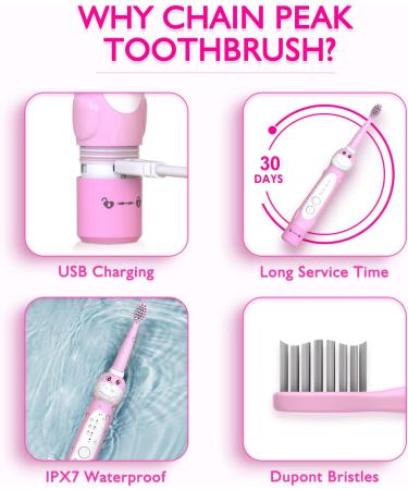 Kids Dinosaur Sonic Electric Toothbrush with Timer - 5 Modes, 8 Heads, Rechargeable - Ages 3-12 - Pink - Buy Online on GoSupps.com