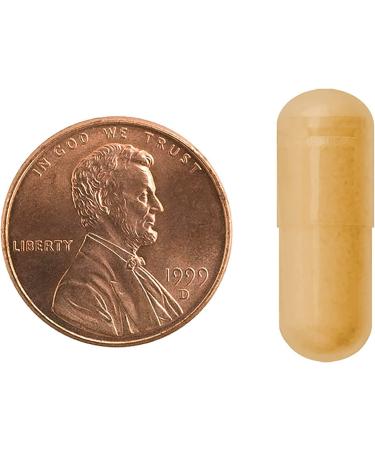 Mason Natural Whole Herb Milk Thistle 500 mg - 60 Capsules for Liver Health - Buy Online on GoSupps.com