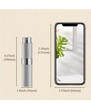 TOUREAL 8ML Aluminum Perfume Atomizer - Refillable Travel Bottle for On-The-Go - Stylish Silver Pinstripes - Buy Online on GoSupps.com