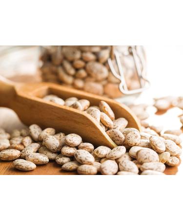 Organic Dry Beans Bundle - 5 LB Black Beans & 5 LB Pinto Beans | Non-GMO, Raw, Vegan, Kosher | Sproutable, Bulk Pack | High in Fiber & Protein | Ideal for Soups, Burritos, Tacos - Buy Online on GoSupps.com