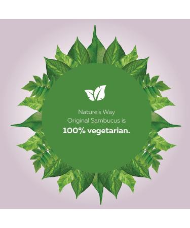 Nature's Way Sambucus Cold and Flu Care Original Elderberry Syrup Used in Herbal Medicine to Help Relieve Symptoms (Coughs and Sore Throats) in Adults 120 ml - Buy Online on GoSupps.com