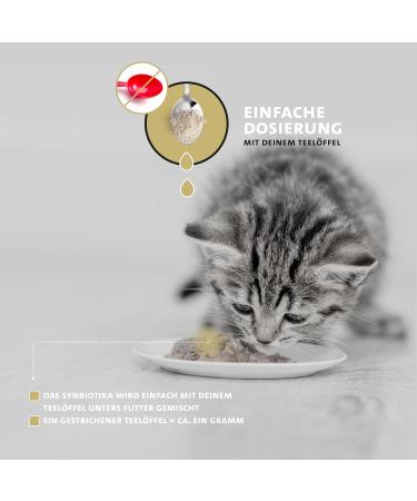 Peticare Cats Prebiotics & Probiotics - 2 in 1 Immune Support & Intestinal Health Supplement | Relieves Allergies & Itching - 350g - Buy Online on GoSupps.com