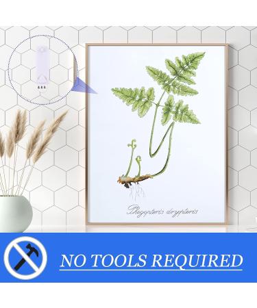 20 Pieces No Damage Picture Hangers Picture Hanging Kit Without Nails No Trace Adhesive Art Hanger for Bathroom Kitchen Home Door Closet  White (20 Pieces) - Buy Online on GoSupps.com