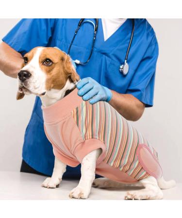Shop Hjumarayan Breathable Post-Op Dog Body - Ideal for Castration Recovery | Medical Support for Small to Large Dogs - Orange Striped - Buy Online on GoSupps.com