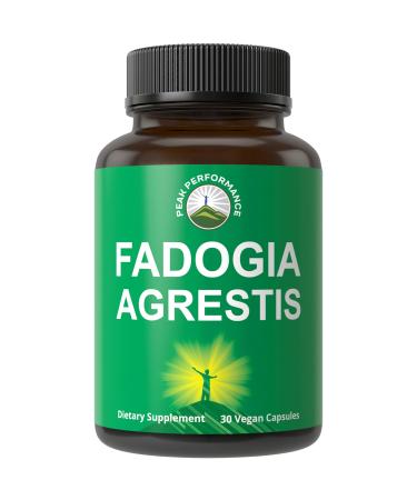 Fadogia Agrestis Ultra High Strength 10:1 Extract in Vegan Capsules. Support Athletic Performance Boost Energy Stamina. USA Tested Supplement for Men and Women