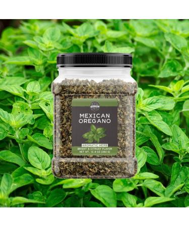 Birch & Meadow Mexican Oregano 12.8 oz Bright Citrus Flavor Mole & Carnitas Dried 12.8 Ounce - Buy Online on GoSupps.com