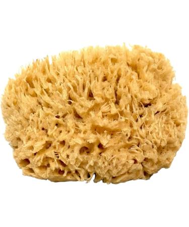 ideelz XFO Sea Sponge (Medium 5) - All Natural Sea Wool Sponge for Bathing and Exfoliating - USA Grown - Buy Online on GoSupps.com