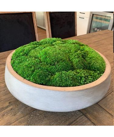Prefleur Preserved Pole Moss Pillow Bun - DIY Kit for Natural Green Decor, Terrariums, and Wedding Decor (1.5 sq.ft. Green-B) - Buy Online on GoSupps.com