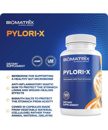 H. Pylori Defense Supplement | Pylori-X w/ Mastic Gum, Berberine, Zinc Carnosine | Digestive Relief & Microbiome Balance (120 Capsules) - Buy Online on GoSupps.com