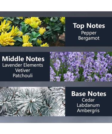 Ceoerty Savage Pheromones Men's Perfume Ceoerty Men's Perfume Long-lasting fragrance New upgrade 2.0 Enhanced Efficacy (1PC) - Buy Online on GoSupps.com