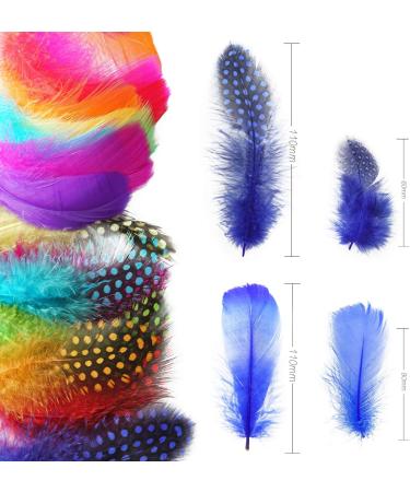 300Pcs Colorful Craft Feathers - Perfect for DIY, Weddings, Parties - Audamp Feathers - Buy Online on GoSupps.com