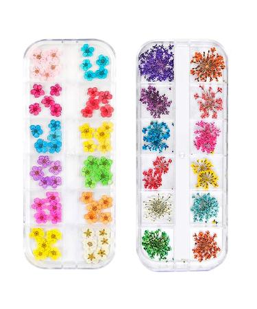 3D Nail Dried Flowers Sticker Set CHANGAR Real Dried Flowers for Nail Art & Resin Craft DIY Five Petal Flower Leaf Gypsophila Dry Flower Nail Art Decoration Kits(2 Boxes)