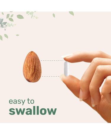 Liposomal Vitamin C 2 500mg 240 Veggie Capsules | Highly Bioavailable Fat Soluble Form | Immune Support & Antioxidant Supplement | Liposomal Delivery for Superior Absorption | Non-GMO Gluten Free - Buy Online on GoSupps.com