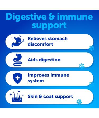 Probiotics for Dogs - Dog Probiotics Chewables - Support Gut Health Itchy Skin Allergies Immunity Yeast Balance - Digestive Enzymes with Prebiotics - Reduce Diarrhea Gas - 120 Probiotic Chews 120 Chews Advanced - Buy Online on GoSupps.com