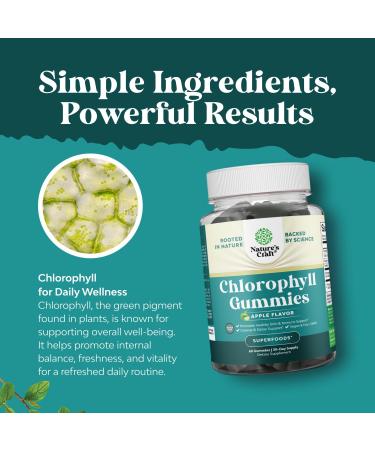 Bundle of Liver Support NAC - N Acetyl Cysteine with Antioxidants Turmeric Choline Dandelion & L-Glutathione and Chlorophyll Gummies - Internal Deodorizer for Body Odor Healthy Skin Digestive Support - Buy Online on GoSupps.com