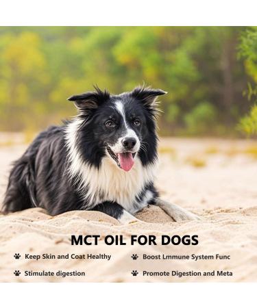 Pleasantly Warm Mct Oil for Dogs 90 Servings Medium Chain Triglycerides.Coconuts C8 and C10 Healthy Digestion Shiny Hair - Buy Online on GoSupps.com