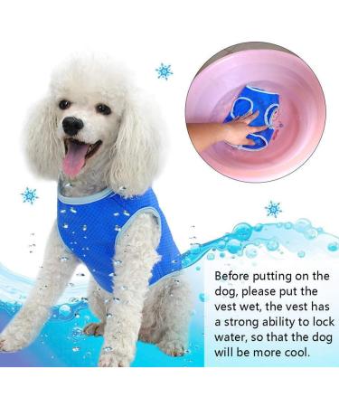 Pet Cooling Vest Cool Down Vest for Summer Ice Vest for Small Medium and Large Dogs (Size : M) - Buy Online on GoSupps.com