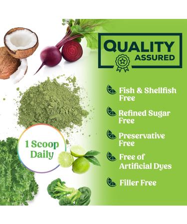 Greens Powder Superfood - Premium Organic Super Greens Juice Powder - Packed with Probiotics Wheat Grass Enzymes Spirulina Chlorella for Digestive & Gut Health Smoothie Drink Mix - 28 Servings - Buy Online on GoSupps.com