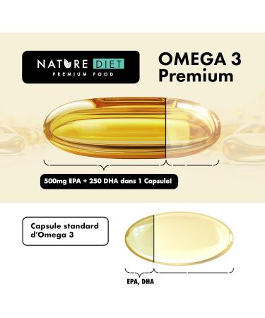 Nature Diet Omega 3 Premium - 2000mg with 1500mg EPA & DHA - 120 Soft Capsules Omega 3 High Concentration Fish Oil - 2 Month Supply - Buy Online on GoSupps.com