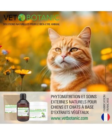 VET BOTANIC - Glucosamine chondroitin - Joint strengthening for dogs and cats (Powder) - 100g - Buy Online on GoSupps.com