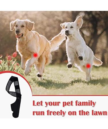 Dog Leg Bracket Pet Dog Leg Support Bracket Dog Hind Leg Protection Device Adjustable Knee Bracket Leg Bracket Dog Arthritis Bracket for Dog Hind Leg Rehabilitation XL - Buy Online on GoSupps.com