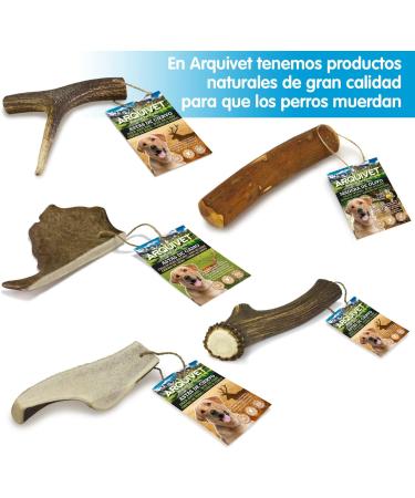 ARQUIVET Antlers L 76-150g Eco Dog Bites Dog Deer Horne Natural Chew Dogs - Buy Online on GoSupps.com