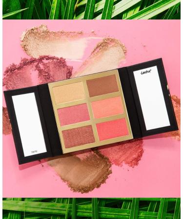 Shop Tarteist Pro Glow & Blush Palette for Radiant Makeup Looks - Buy Online on GoSupps.com