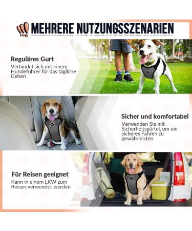 Slowton No-Pull Dog Harness | Soft Padded & Breathable for Small to Medium Dogs - Gray - Buy Online on GoSupps.com