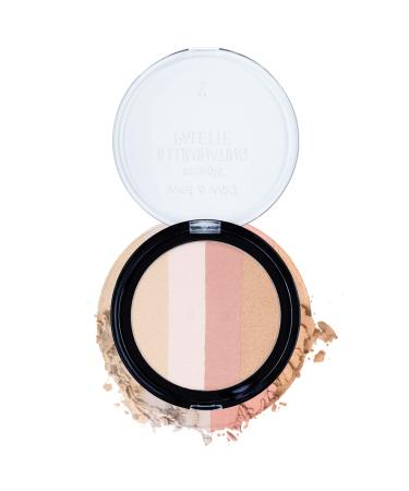 Wet n Wild Megaglo Illuminating Blush Palette  Catwalk Pink | Blush & Highlighter Makeup - Buy Online on GoSupps.com