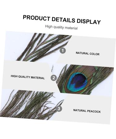 Lurrose 50pcs Peacock Tail Eye s Peacock s Peacock Tail s Peacock Eye s Crafts Natural - Buy Online on GoSupps.com