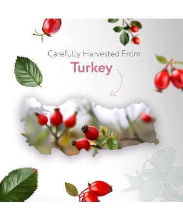 HBNO Organic rosehip oil- 8.8 lbs (4kg) - Ideal for Shampoos Conditioners Lip balms Face wash Lotions and Skin care products. - Buy Online on GoSupps.com