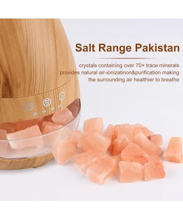 2-in-1 Aroma Diffuser & Salt Lamp - GUKKK 200ml Essential Oil Humidifier with Flames Effect & Adjustable Brightness for Aromatherapy - International Shipping - Buy Online on GoSupps.com