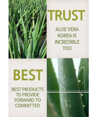 Aloe Vera Korea Perfect Cover BB Stick - BB + Essential Core 0.44oz (12.5g) | International Shipping Available - Buy Online on GoSupps.com